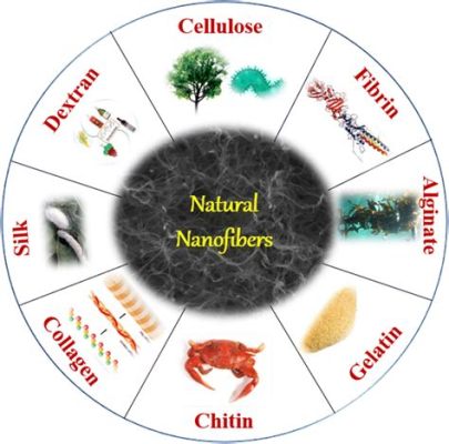  Cellulose Nanofiber: วัสดุแห่งอนาคตสำหรับการผลิตและบรรจุภัณฑ์ที่ยั่งยืน!