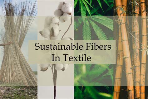  Wool:  A Fiber Revolutionizing Sustainable Packaging and Textile Innovations!